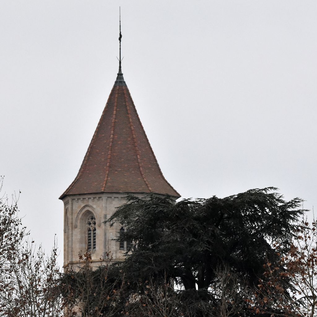 fleurancenimes091.jpg