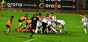 narbonnercn020.jpg narbonnercn020.jpg
