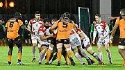 narbonnercn104.jpg narbonnercn104.jpg