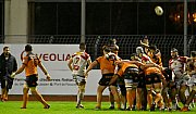 narbonnercn111.jpg narbonnercn111.jpg