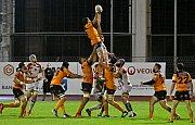 narbonnercn112.jpg narbonnercn112.jpg
